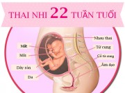 Bà bầu - Siêu âm thai 22 tuần: Cột mốc quan trọng mẹ bầu đừng bỏ qua
