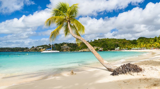 Guadeloupe: Quần đảo ở Caribbe hấp dẫn du khách với nhiều phong cảnh đẹp.
