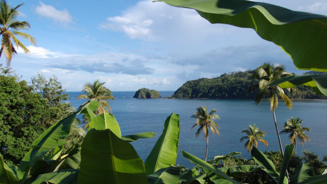 Dominica: Tới hòn đảo này, du khách có thể khám phá những rạn san hô tuyệt đẹp.
