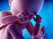 Bà bầu - Ngó bụng mẹ xem sự phát triển của thai nhi qua từng tháng mang bầu