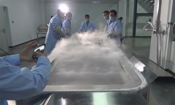 Quá đau buồn khi vợ qua đời vì ung thư, chồng đóng băng thi thể vợ mong ngày hồi sinh - 1