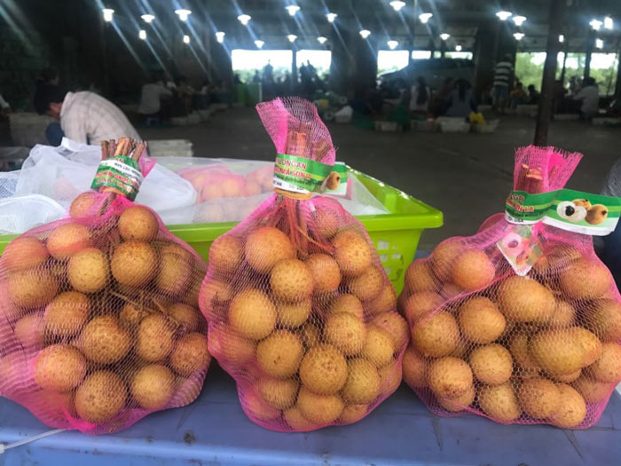Nhãn amp;#39;khủngamp;#39; Tây Bắc bất ngờ xuất khẩu sang Mỹ - 1