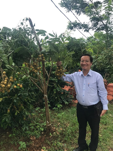 Nhãn amp;#39;khủngamp;#39; Tây Bắc bất ngờ xuất khẩu sang Mỹ - 2