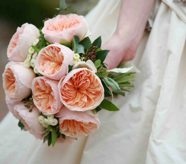 Màu sắc tươi sáng, dáng hoa khum cộng với mùi thơm nhẹ quyến rũ, hoa hồng Juliet thường được cắt để cắm trong đám cưới, lễ tưởng niệm, các sự kiện đặc biệt. 
