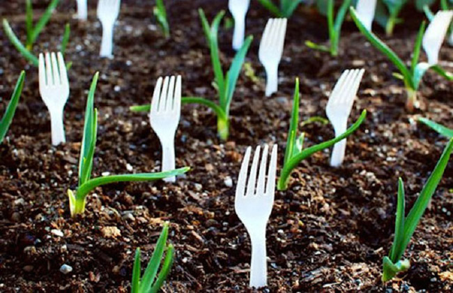 Một ý tưởng tuyệt vời để ngăn không cho chó, mèo, gà,... vào vườn là tận dụng những chiếc dĩa nhựa cũ và cắm chúng đầy luống rau.
