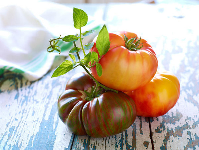 19 TUẦN 

Tuần này em bé đã lớn bằng một quả cà chua và nặng 240g. (Chiều dài: 15,3cm)

