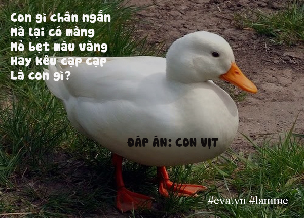 20 câu đố vui dân gian rèn trí thông minh cho trẻ hiệu quả - 4