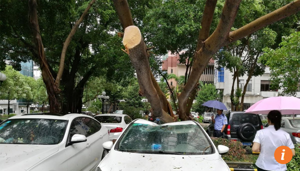 Hình ảnh khủng khiếp khi siêu bão Hato đổ bộ vào Trung Quốc, người đi đường bị gió thổi bay - 7