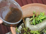 Nhà đẹp - Bạn sẽ không bao giờ vứt túi trà đã lọc đi nếu biết 8 công dụng "cực đỉnh" này