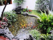 Nhà đẹp - Mê mẩn những hồ cá Koi sân vườn đẹp hút hồn, khách đến muốn ở mãi không về