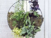 Nhà đẹp - Nhà chật chội đến mấy vẫn thoải mái trồng rau sạch nhờ biết làm vườn treo