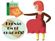 Bà bầu - Cách tính ngày dự sinh chuẩn cho các bà bầu