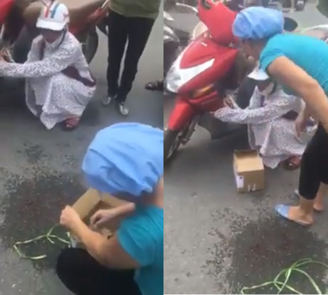 Cô gái gào khóc vật vã giữa đường vì mèo bị đâm chết, mọi người xông vào chửi... dở hơi - 2