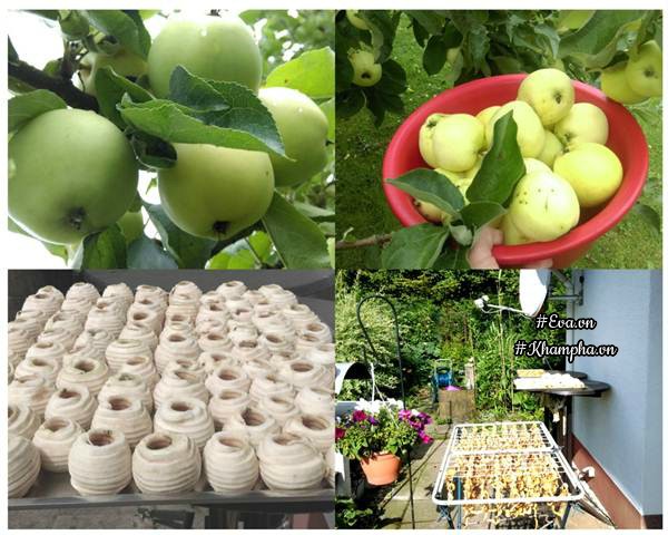 Khu vườn rau thơm chuẩn Việt rộng đến 400m² tại Đức khiến bao người ngỡ ngàng - 4