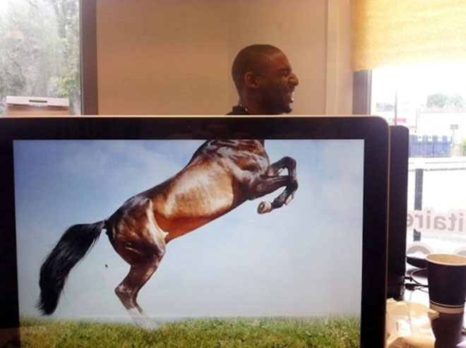 Những bức ảnh hài hước khiến người ta cười đau ruột vì “không biết đâu là sự thật” - 12