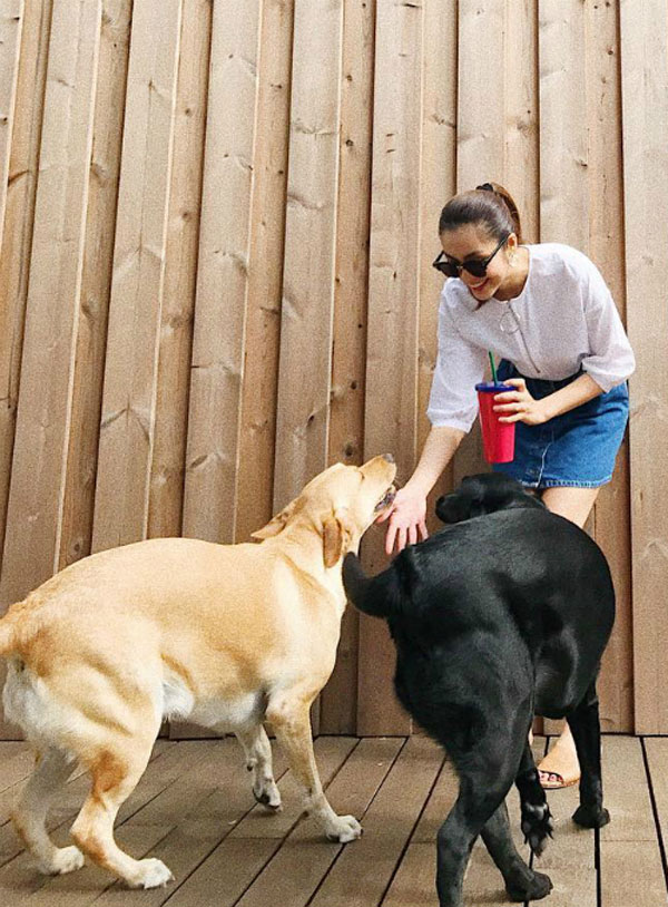 Sao Việt 24h: Tuấn Hưng đắm đuối hôn vợ 9x, đáp trả sự soi mói của dư luận - 9