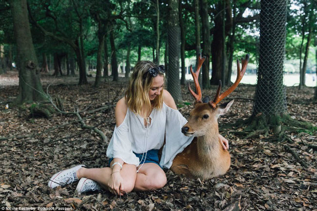 Cô gái 23 tuổi chụp ảnh cùng chú hươu trong rừng ở Nhật Bản.
