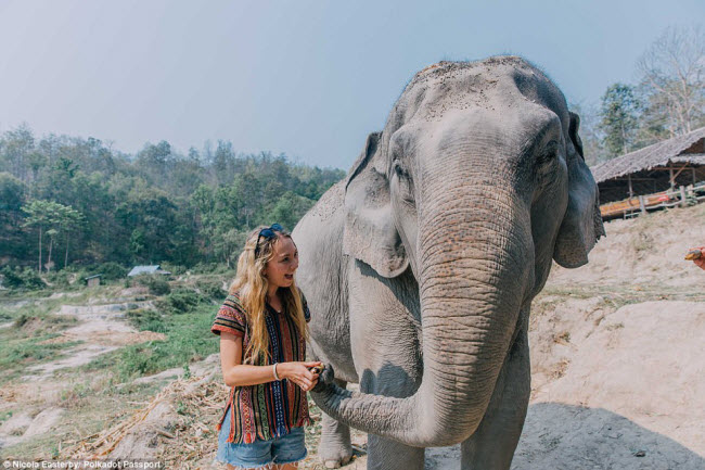 Nicola tỏ ra rất thích thú khi tham quan khu bảo tồn voi ở Chiang Mai, Thái Lan.
