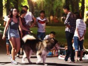 Tin tức - Từ tháng 9, nhiều chính sách quan trọng có hiệu lực người dân cần biết
