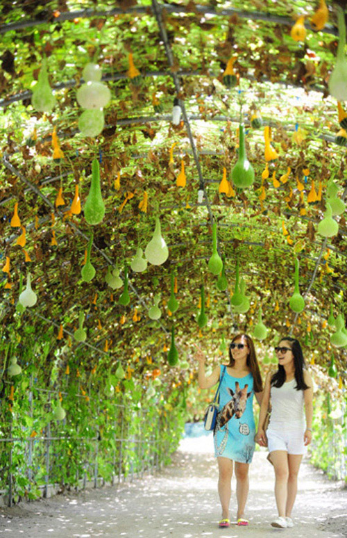 Vào chốn thần tiên có giàn bầu, bí thế này, bạn chỉ muốn ở lại luôn khỏi về - 7