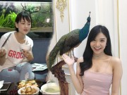 Nhà đẹp - Diễn viên Người phán xử: Những căn nhà trái ngược đến khó tin của dàn sao nữ (P2)