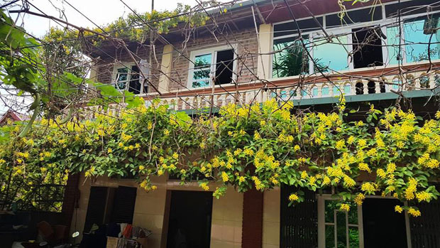 Bạn trẻ thi nhau khoe ảnh cổng hoa rực rỡ trước nhà, ai cũng muốn nhà mình được thế - 5