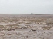 Tin tức - Siêu bão Irma với sức mạnh khủng khiếp hút cạn nước biển, hiện tượng kỳ quái hiếm thấy