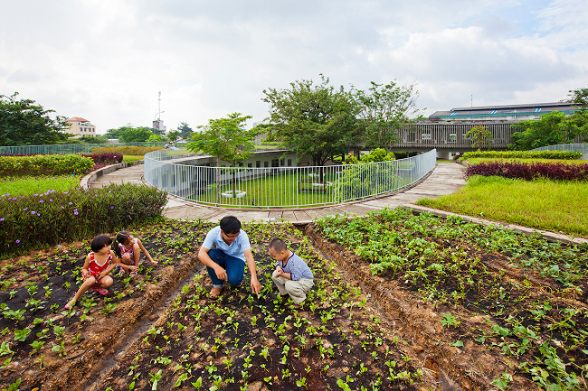 Công trình vừa giải quyết được vấn đề về biến đổi khí hậu, đồng thời trên mái nhà, các thầy cô, phụ huynh có thể tham gia trồng các loại cây xanh, rau sạch tăng thêm chất lượng cho bữa ăn của trẻ.
