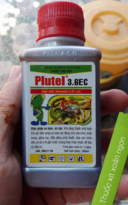 Ông bố Vũng Tàu bày cách trồng ớt sừng trâu ra 1000 quả amp;#34;ăn đã miệng, ngắm đã mắtamp;#34; - 10