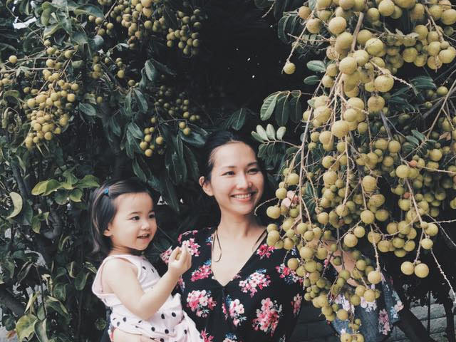 Sao Việt 24h: Kim Hiền và con gái thích thú với vườn cây trĩu quả của bố mẹ chồng