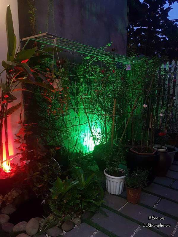 Mẹ Đà Nẵng amp;#34;biếnamp;#34; sân gạch chỉ 30m² trước nhà thành vườn hoa lan rực rỡ - 5