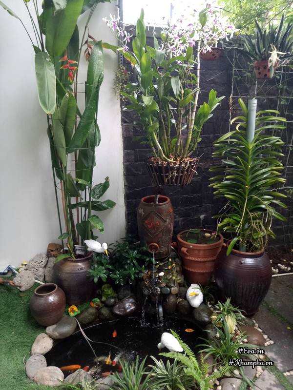 Mẹ Đà Nẵng amp;#34;biếnamp;#34; sân gạch chỉ 30m² trước nhà thành vườn hoa lan rực rỡ - 4