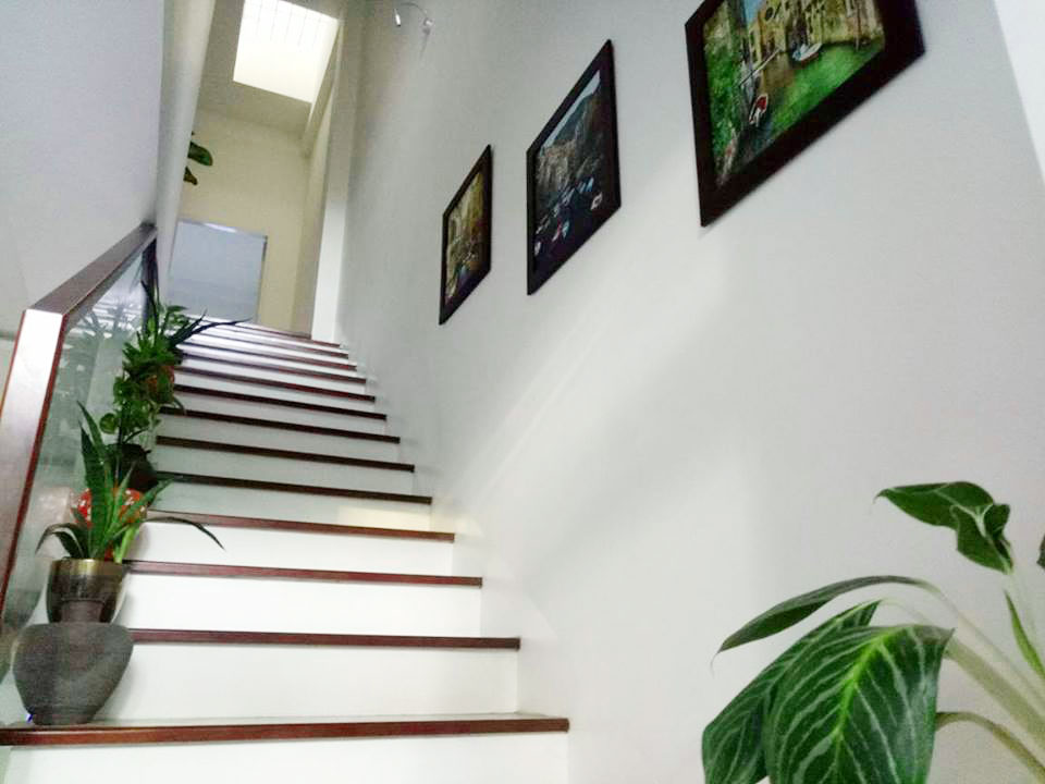 Mẹ Đà Nẵng amp;#34;biếnamp;#34; sân gạch chỉ 30m² trước nhà thành vườn hoa lan rực rỡ - 14