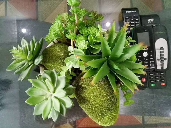 Mẹ Đà Nẵng amp;#34;biếnamp;#34; sân gạch chỉ 30m² trước nhà thành vườn hoa lan rực rỡ - 15