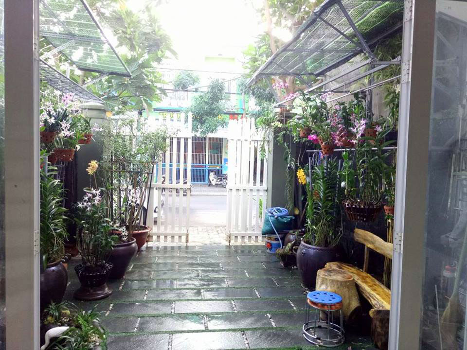 Mẹ Đà Nẵng amp;#34;biếnamp;#34; sân gạch chỉ 30m² trước nhà thành vườn hoa lan rực rỡ - 3