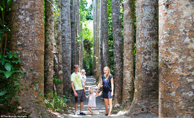 Vợ chồng trẻ bán hết tài sản để đưa 2 con đi du lịch - 1