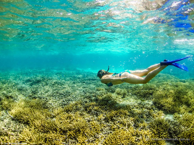 Vợ chồng trẻ bán hết tài sản để đưa 2 con đi du lịch - 5