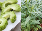 Bà bầu - Những loại rau bà bầu không nên ăn để tránh sảy thai, sinh non