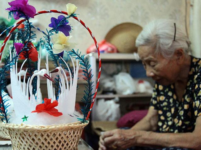 Gia đình 70 năm nuôi thiên nga bông giữa lòng Hà Nội