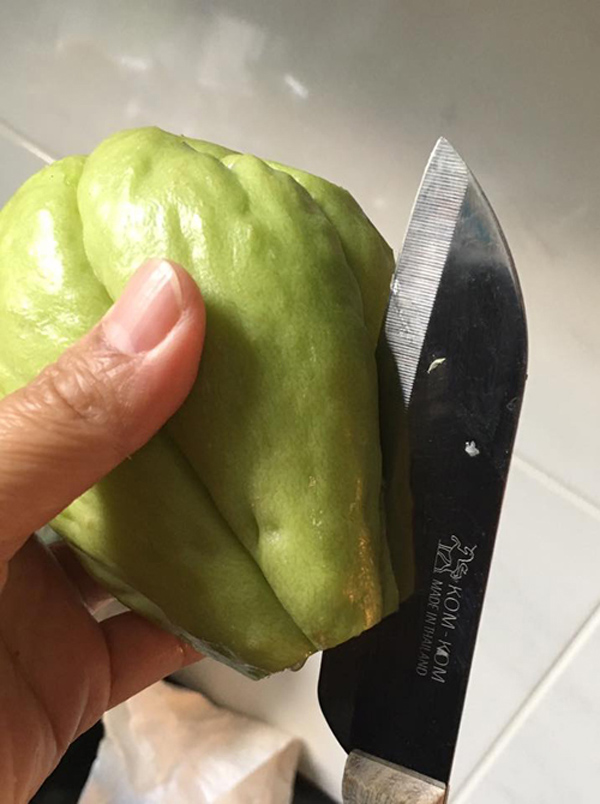 Tách hạt su su cho vào cốc rồi đem trồng, vài tháng sau có cả giàn sai trĩu - 2