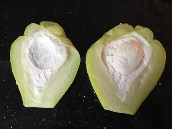 Tách hạt su su cho vào cốc rồi đem trồng, vài tháng sau có cả giàn sai trĩu - 3