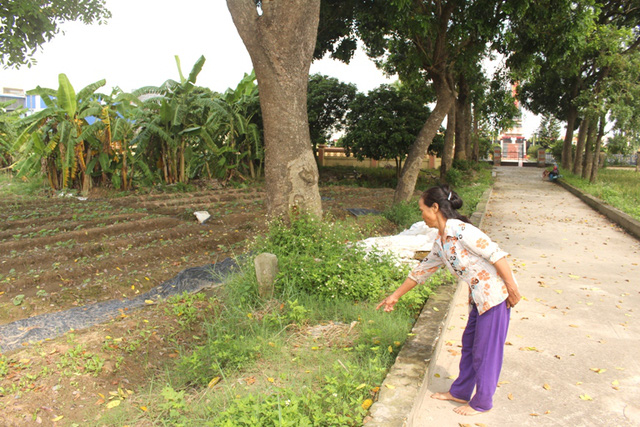 Bé gái sơ sinh bị bỏ rơi trước cổng nghĩa trang liệt sĩ - 1