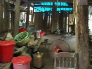 Tin tức - Tin tức 24h nổi bật: Vợ bạo hành con vì nghi lấy 7 nghìn đồng, chồng phản ứng khó hiểu