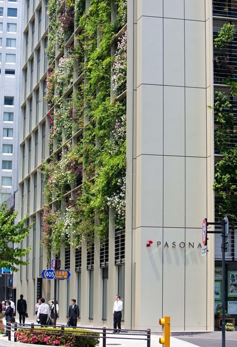 Lạ lùng văn phòng trồng rau như trang trại, nhân viên tha hồ gặt lúa, hái rau - 2