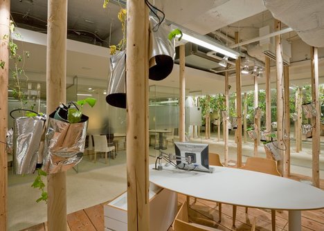 Lạ lùng văn phòng trồng rau như trang trại, nhân viên tha hồ gặt lúa, hái rau - 7