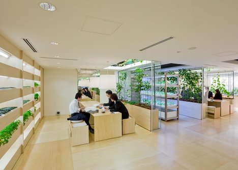 Lạ lùng văn phòng trồng rau như trang trại, nhân viên tha hồ gặt lúa, hái rau - 6