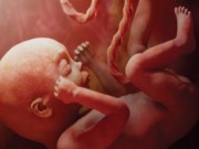 Bà bầu - Thai 22 tuần nặng bao nhiêu kg?