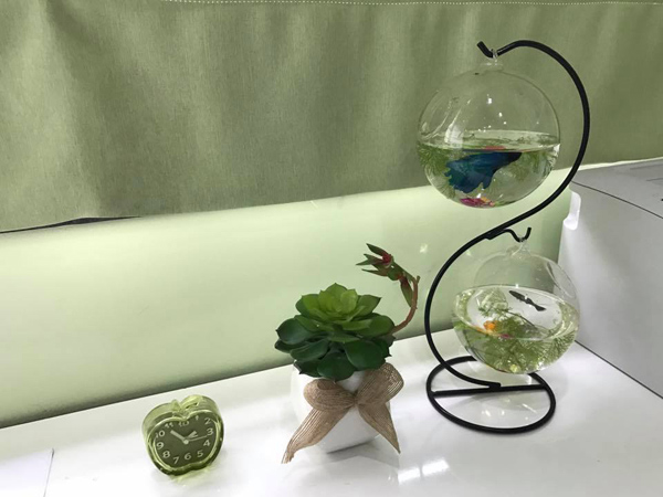 Căn nhà xanh toàn tập của thầy giáo Việt điển trai amp;#34;cuồngamp;#34; màu xanh - 11