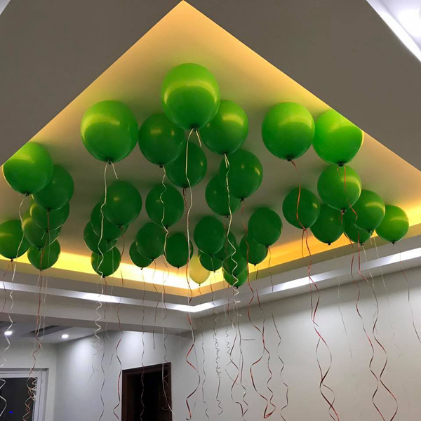 Căn nhà xanh toàn tập của thầy giáo Việt điển trai amp;#34;cuồngamp;#34; màu xanh - 2