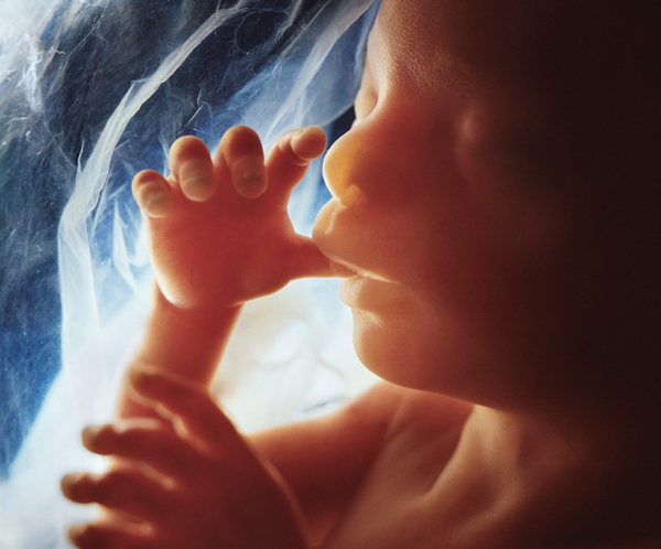 Bao năm rồi nhưng đây vẫn là bộ ảnh xuất sắc nhất về thai nhi trong bụng mẹ - 2